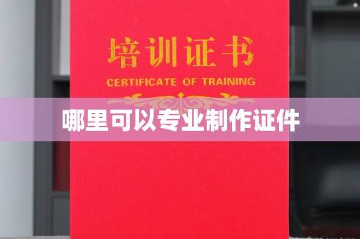 沙田哪里可以专业制作证件