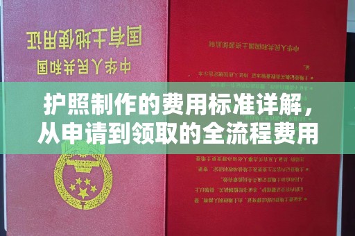 沙田护照制作的费用标准详解，从申请到领取的全流程费用指南