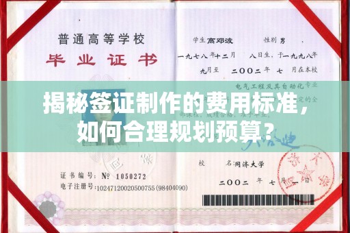 沙田揭秘签证制作的费用标准，如何合理规划预算？