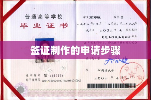 沙田签证制作的申请步骤