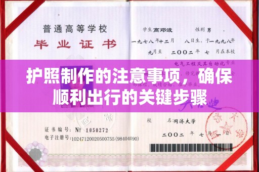 沙田护照制作的注意事项，确保顺利出行的关键步骤