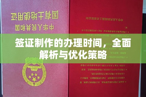 沙田签证制作的办理时间，全面解析与优化策略