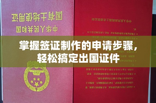 沙田掌握签证制作的申请步骤，轻松搞定出国证件