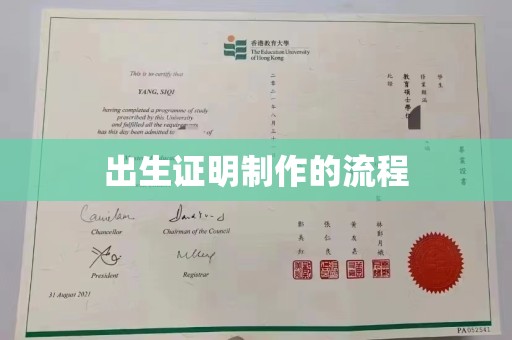 沙田出生证明制作的流程