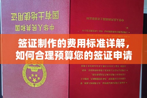 沙田签证制作的费用标准详解，如何合理预算您的签证申请成本